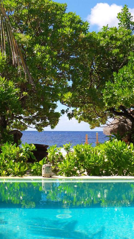 Green Lodge Moorea Temae المظهر الخارجي الصورة